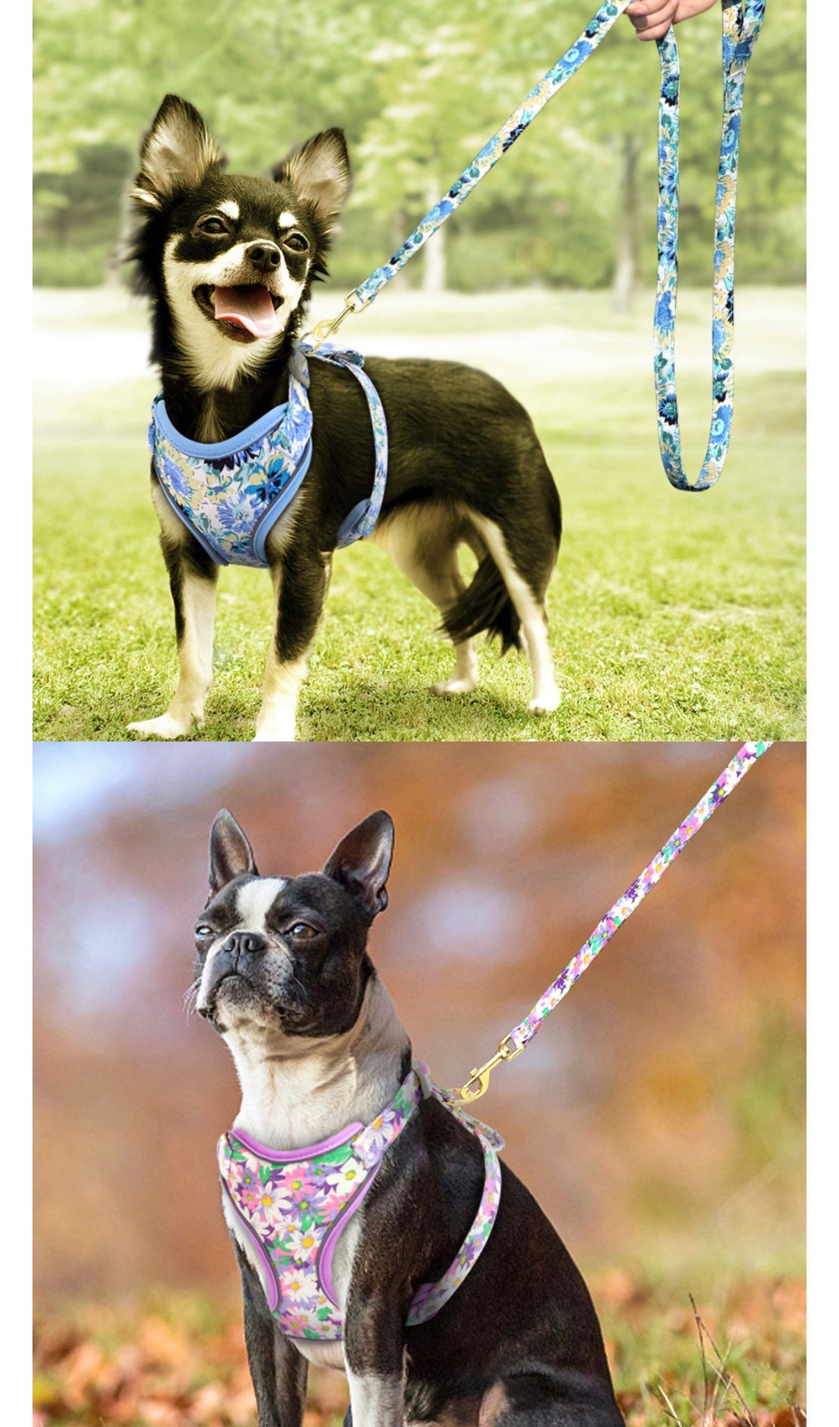 Set Hundegeschirr Brustgurt Blumen Design