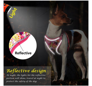 Set Hundegeschirr Brustgurt Blumen Design