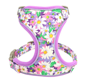 Set Hundegeschirr Brustgurt Blumen Design