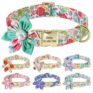 Hundehalsband mit Blume goldene Metallschließe