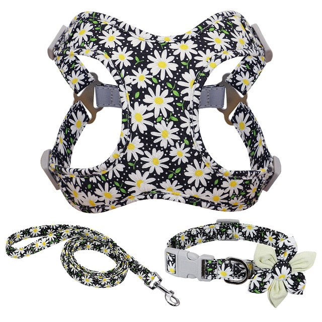 weiches Brustgeschirr im Set mit Halsband und Leine florale Muster
