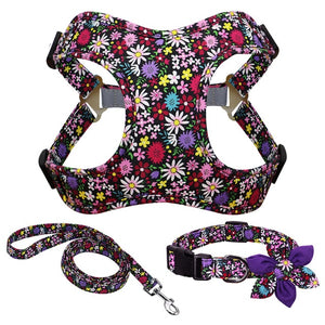 weiches Brustgeschirr im Set mit Halsband und Leine florale Muster